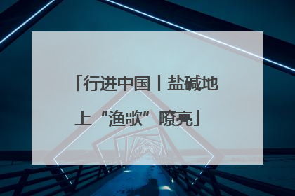 行进中国丨盐碱地上“渔歌”嘹亮